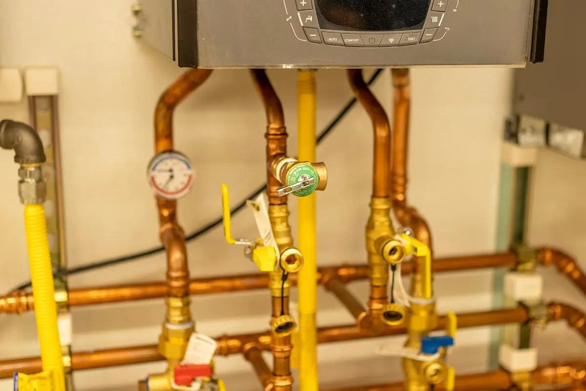 Licensed technician providing Emergency Plumbing for a homeowner in Ely